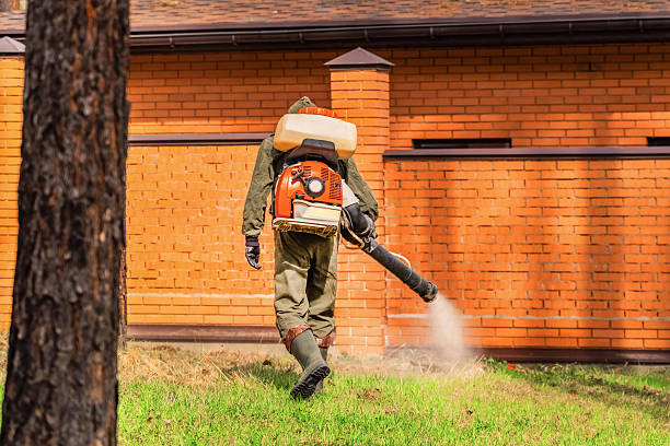 Cockroach Follow-Up and Monitoring in Harrison